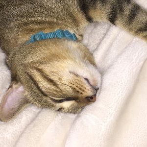 Meet your Posher, Ava